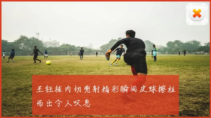 王钰栋内切兜射精彩瞬间皮球擦柱而出令人叹息