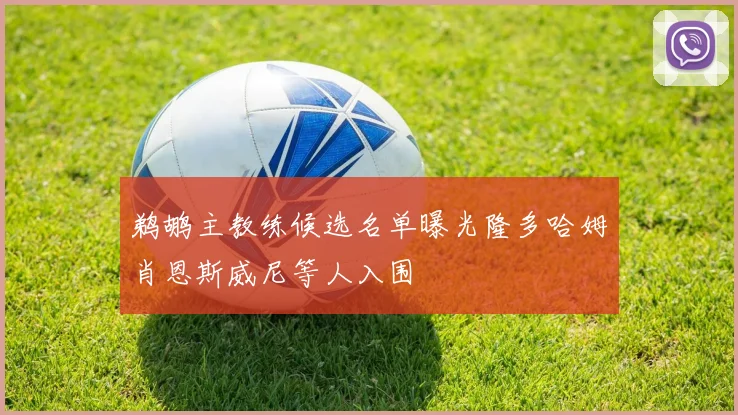 鹈鹕主教练候选名单曝光隆多哈姆肖恩斯威尼等人入围