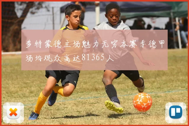 多特蒙德主场魅力无穷本赛季德甲场均观众高达81365人